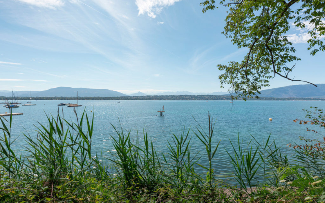 la-petite-voie-genthod-maison-a-vendre-projet-neuf-village-9-1024x640