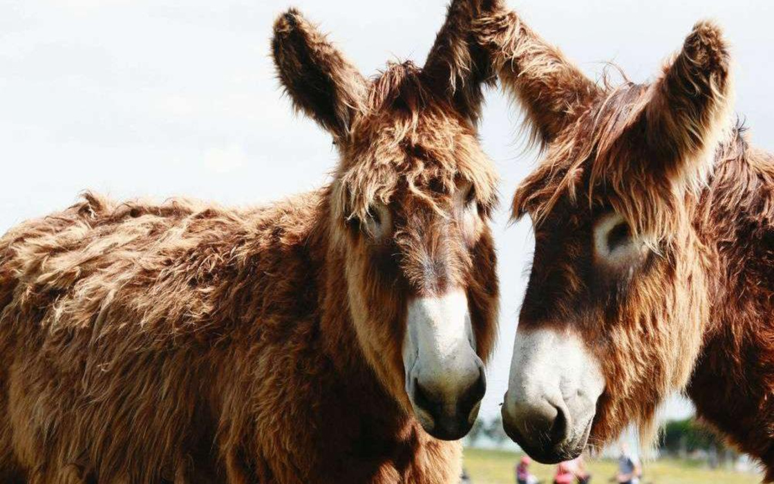 so-57ecd7c766a4bdbe42a0fa86-ph0